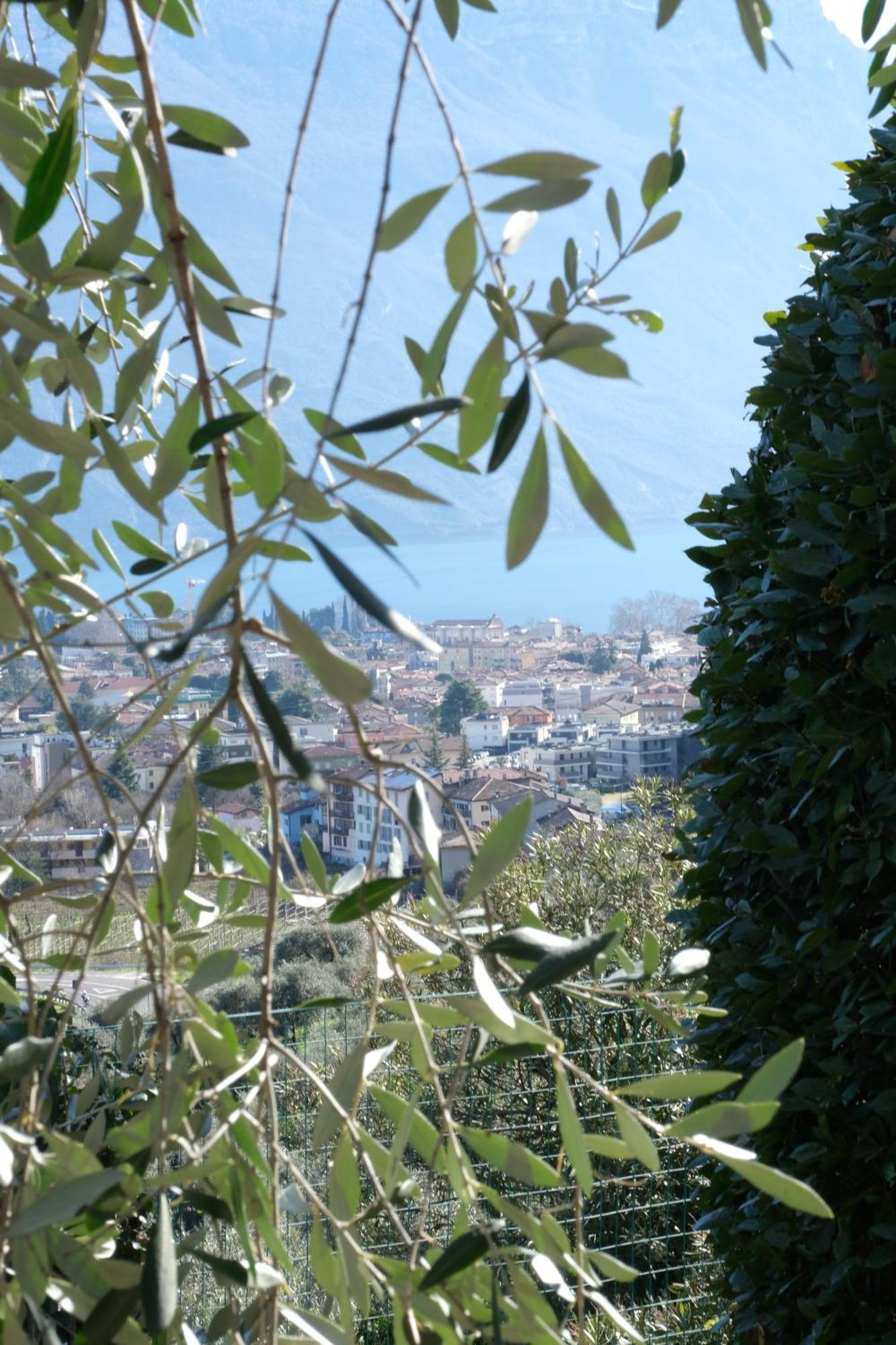 Casa Segantini - Panorama Pool Apartment Gavazzo Nuova 외부 사진