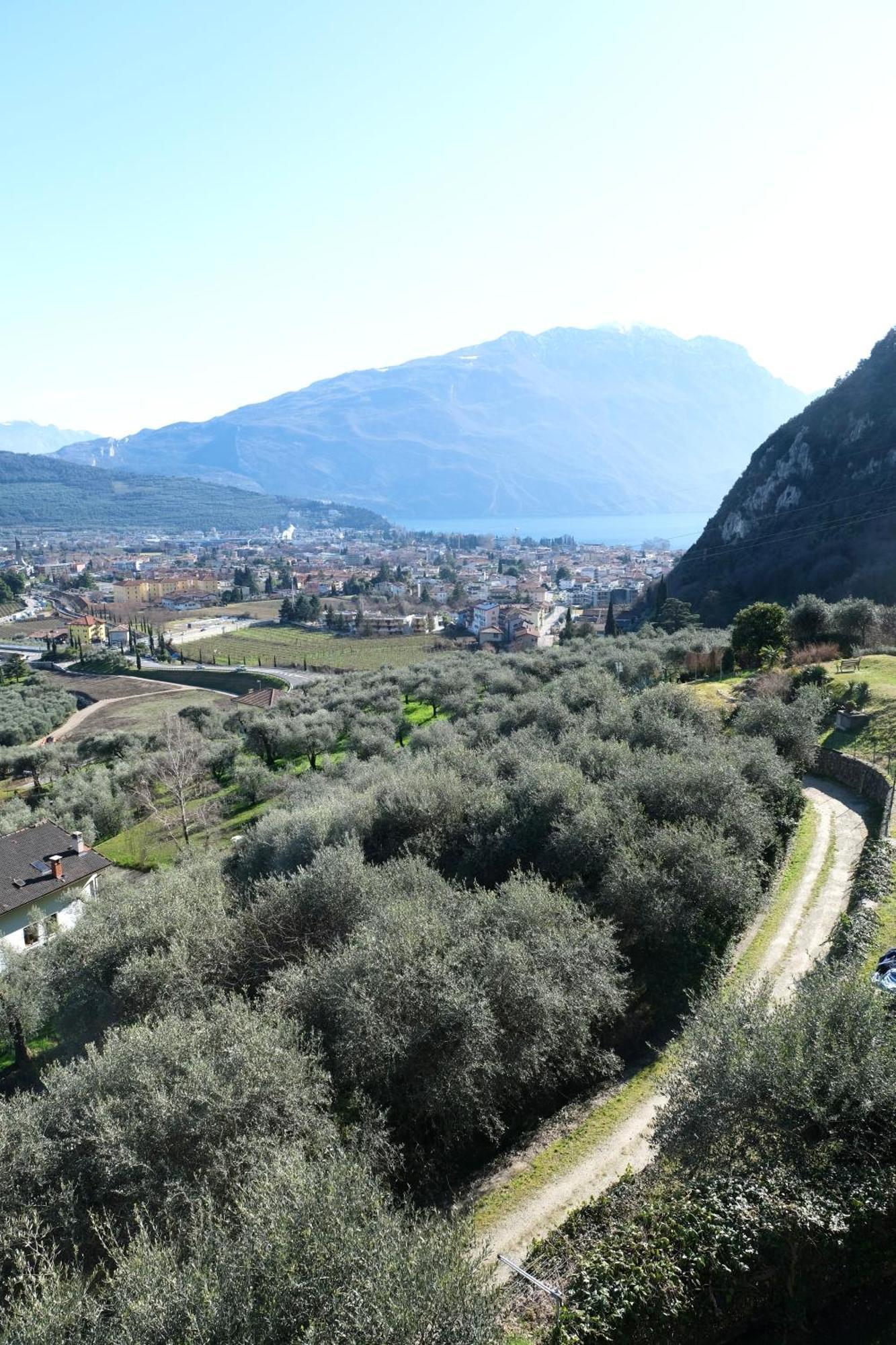 Casa Segantini - Panorama Pool Apartment Gavazzo Nuova 외부 사진